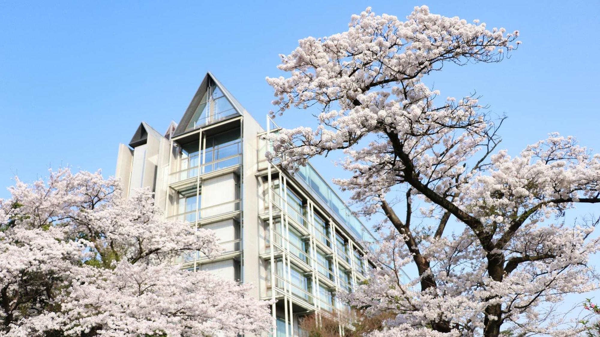 Kikusuitei Higashimurayama Bagian luar foto